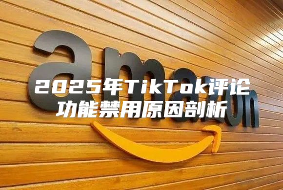 2025年TikTok评论功能禁用原因剖析
