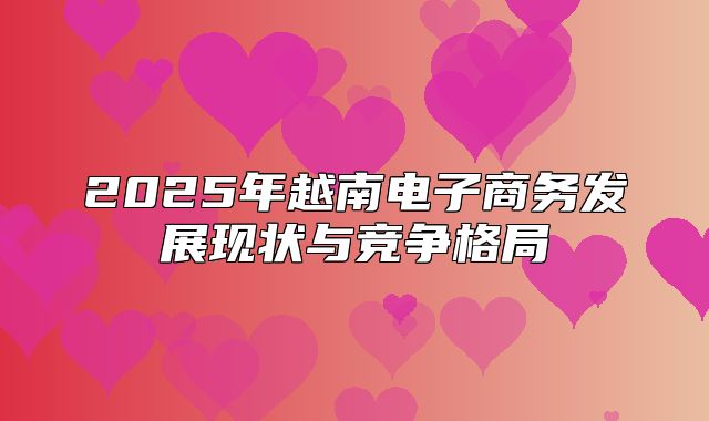 2025年越南电子商务发展现状与竞争格局