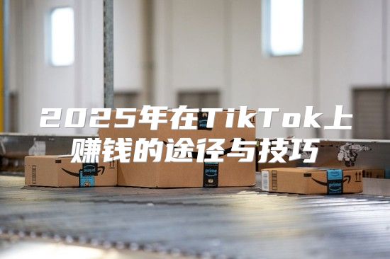 2025年在TikTok上赚钱的途径与技巧