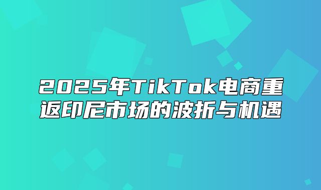 2025年TikTok电商重返印尼市场的波折与机遇