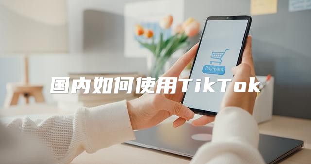 国内如何使用TikTok