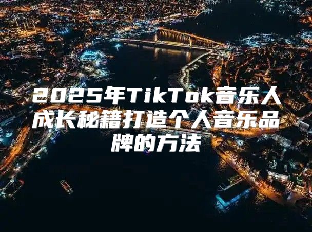 2025年TikTok音乐人成长秘籍打造个人音乐品牌的方法