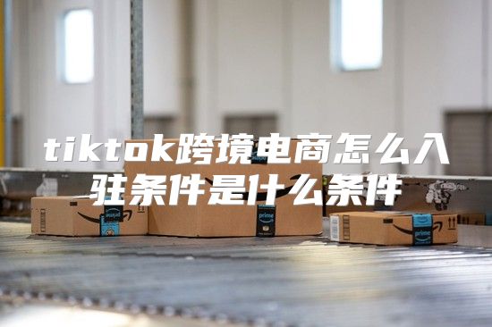 tiktok跨境电商怎么入驻条件是什么条件