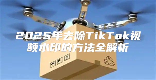 2025年去除TikTok视频水印的方法全解析