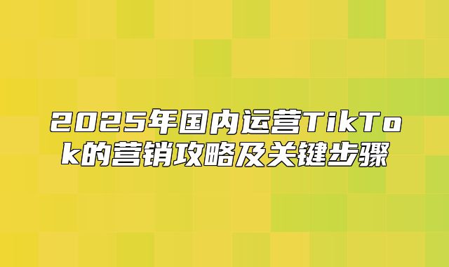 2025年国内运营TikTok的营销攻略及关键步骤