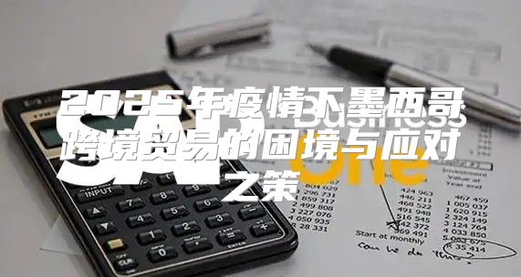 2025年疫情下墨西哥跨境贸易的困境与应对之策