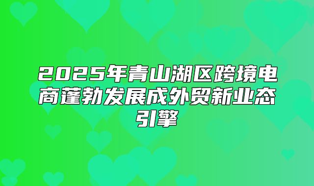2025年青山湖区跨境电商蓬勃发展成外贸新业态引擎