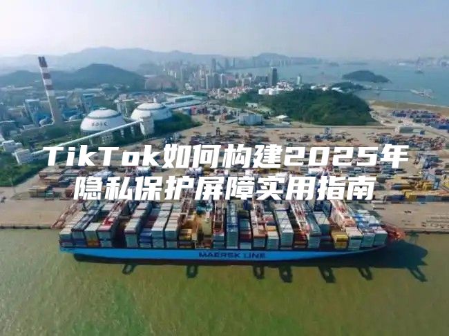 TikTok如何构建2025年隐私保护屏障实用指南