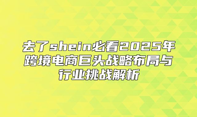去了shein必看2025年跨境电商巨头战略布局与行业挑战解析