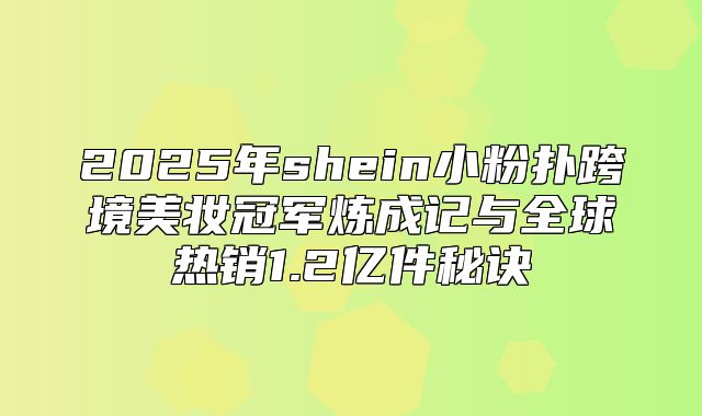 2025年shein小粉扑跨境美妆冠军炼成记与全球热销1.2亿件秘诀