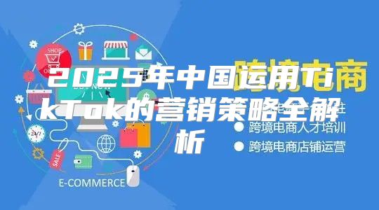 2025年中国运用TikTok的营销策略全解析