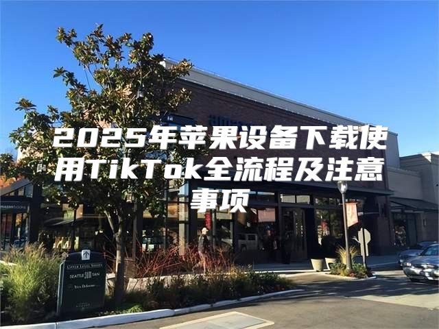 2025年苹果设备下载使用TikTok全流程及注意事项