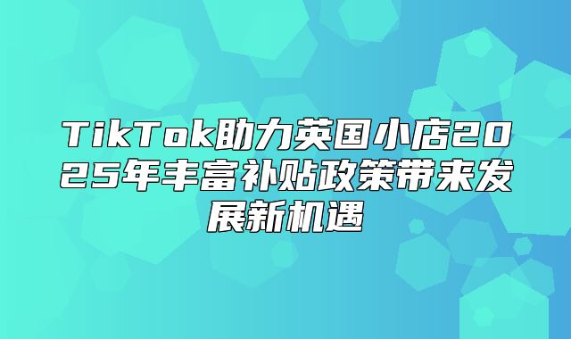 TikTok助力英国小店2025年丰富补贴政策带来发展新机遇