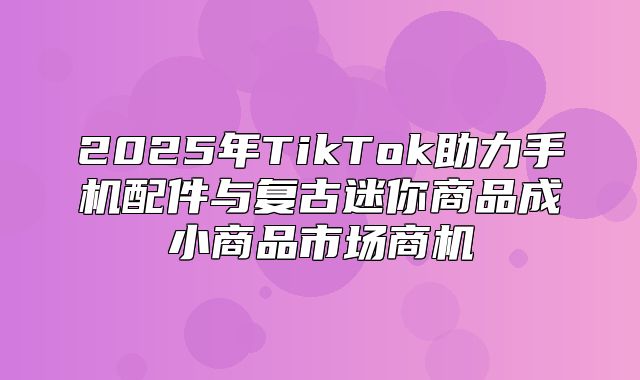 2025年TikTok助力手机配件与复古迷你商品成小商品市场商机