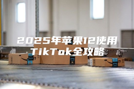 2025年苹果12使用TikTok全攻略