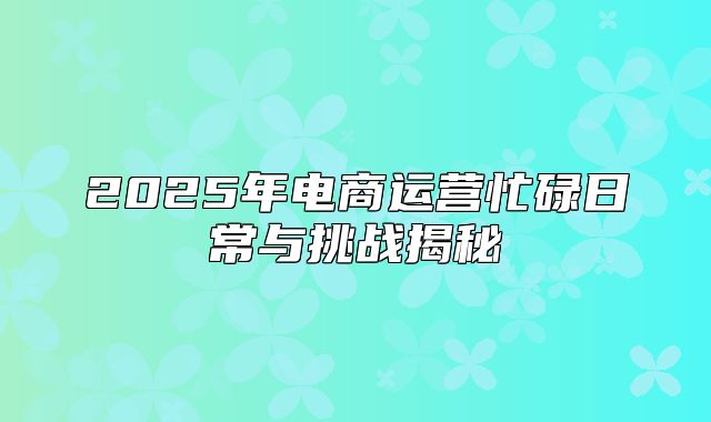 2025年电商运营忙碌日常与挑战揭秘