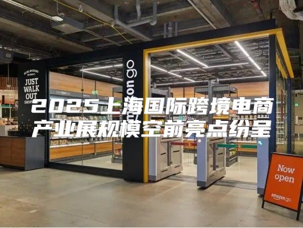 2025上海国际跨境电商产业展规模空前亮点纷呈