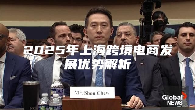 2025年上海跨境电商发展优势解析
