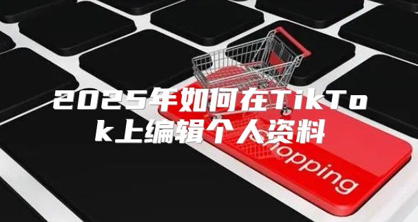 2025年如何在TikTok上编辑个人资料