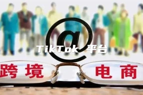 TikTok 平台