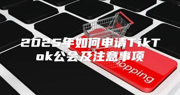 2025年如何申请TikTok公会及注意事项