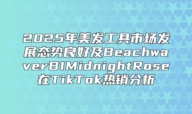 2025年美发工具市场发展态势良好及BeachwaverB1MidnightRose在TikTok热销分析
