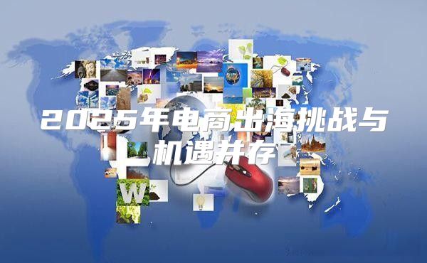 2025年电商出海挑战与机遇并存