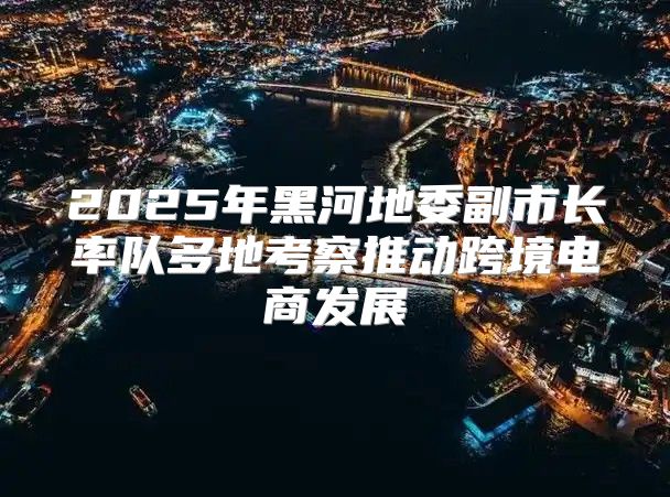 2025年黑河地委副市长率队多地考察推动跨境电商发展