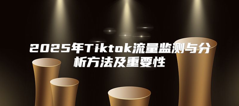 2025年Tiktok流量监测与分析方法及重要性