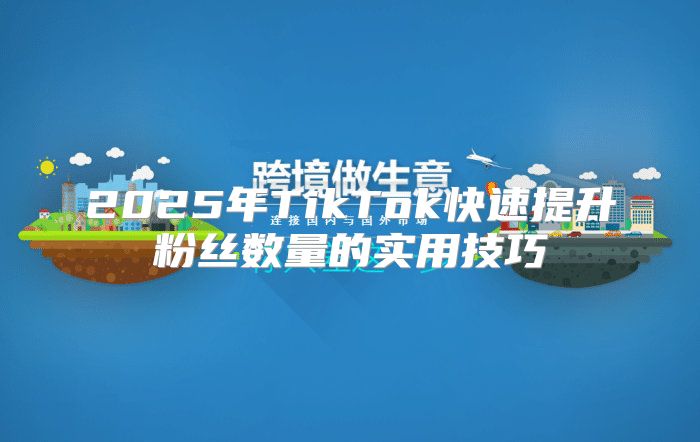 2025年TikTok快速提升粉丝数量的实用技巧
