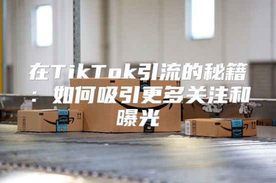 在TikTok引流的秘籍：如何吸引更多关注和曝光