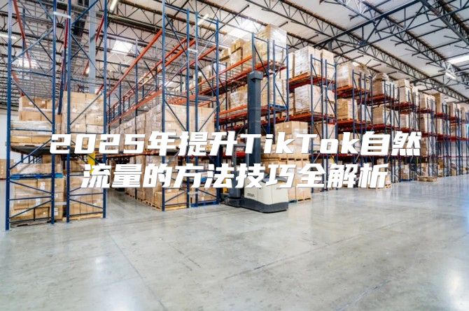 2025年提升TikTok自然流量的方法技巧全解析