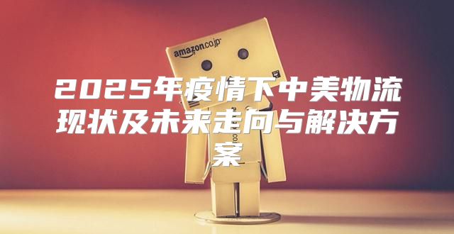 2025年疫情下中美物流现状及未来走向与解决方案