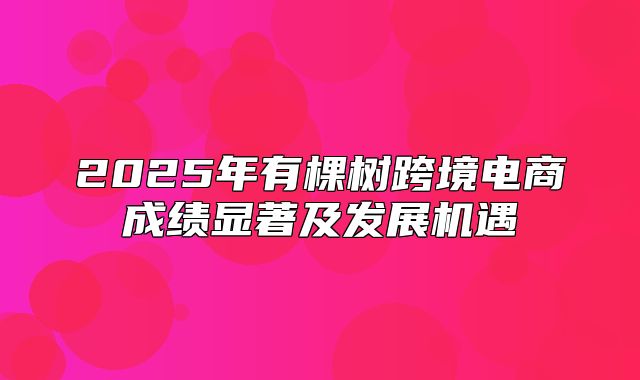 2025年有棵树跨境电商成绩显著及发展机遇