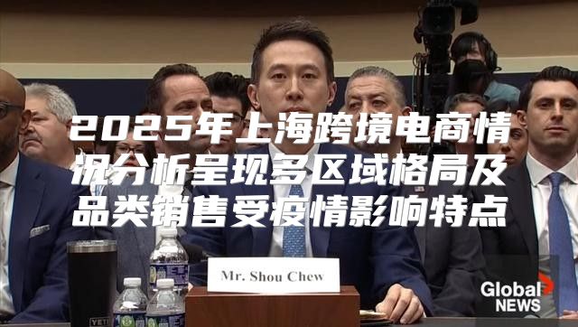 2025年上海跨境电商情况分析呈现多区域格局及品类销售受疫情影响特点