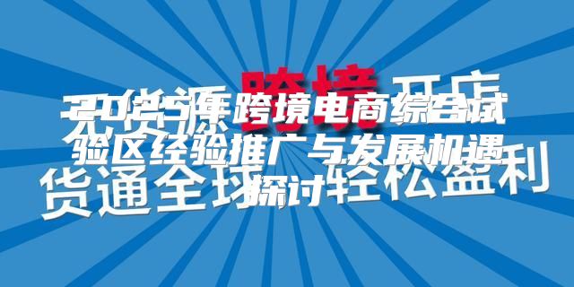 2025年跨境电商综合试验区经验推广与发展机遇探讨