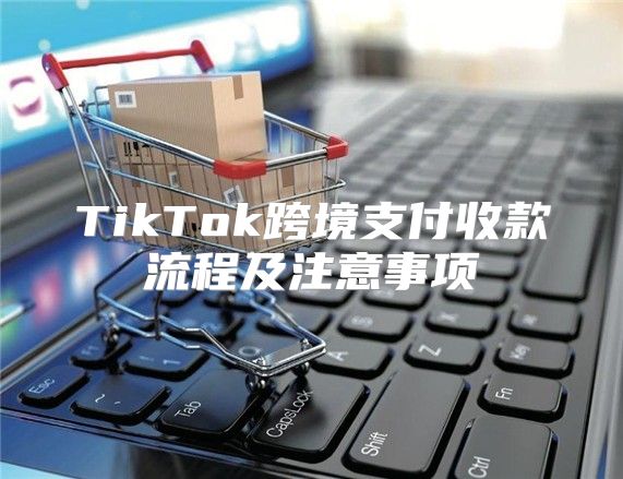 TikTok跨境支付收款流程及注意事项
