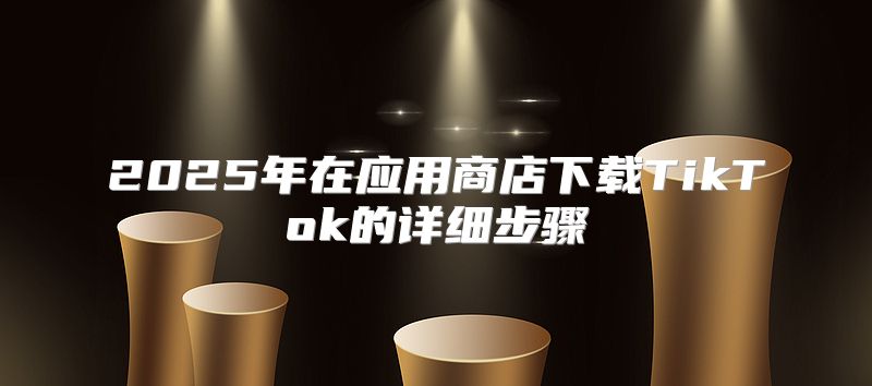 2025年在应用商店下载TikTok的详细步骤