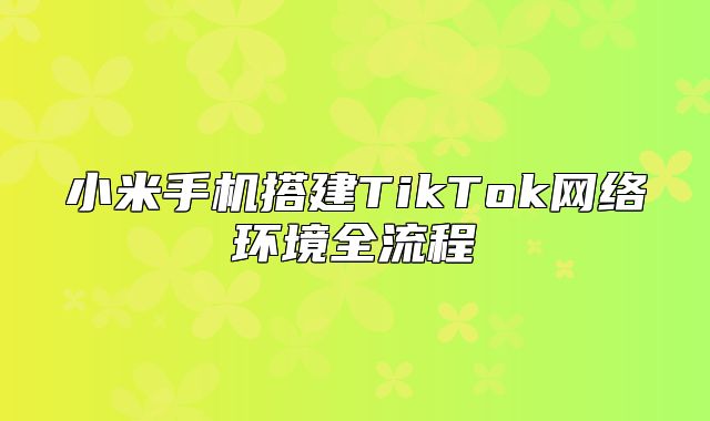 小米手机搭建TikTok网络环境全流程