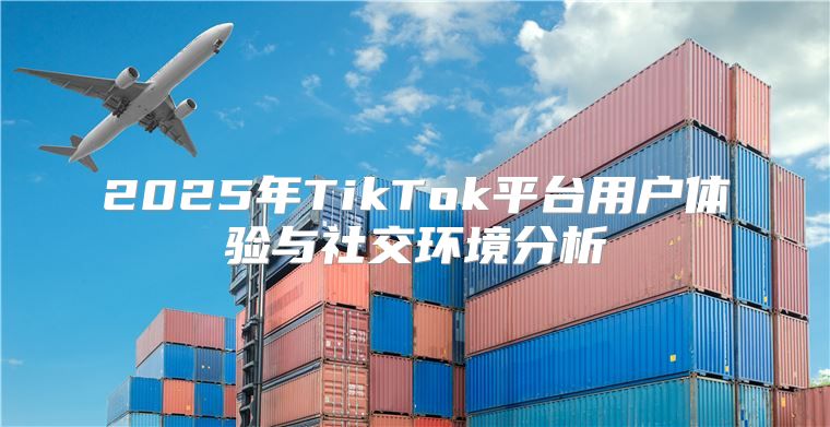 2025年TikTok平台用户体验与社交环境分析