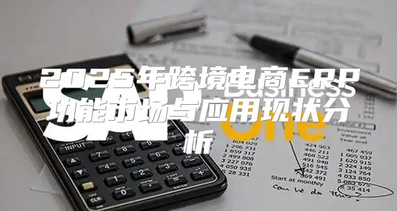 2025年跨境电商ERP功能市场与应用现状分析