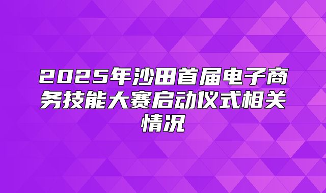 2025年沙田首届电子商务技能大赛启动仪式相关情况