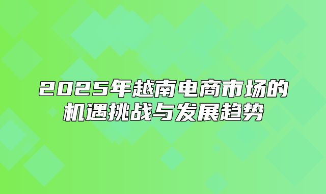 2025年越南电商市场的机遇挑战与发展趋势