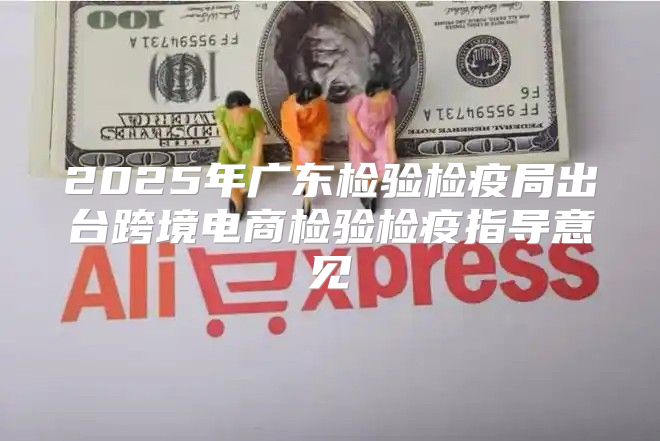 2025年广东检验检疫局出台跨境电商检验检疫指导意见