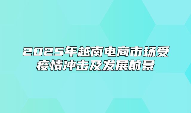 2025年越南电商市场受疫情冲击及发展前景