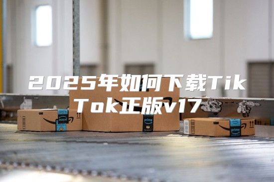 2025年如何下载TikTok正版v17