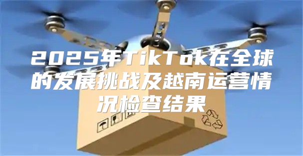 2025年TikTok在全球的发展挑战及越南运营情况检查结果