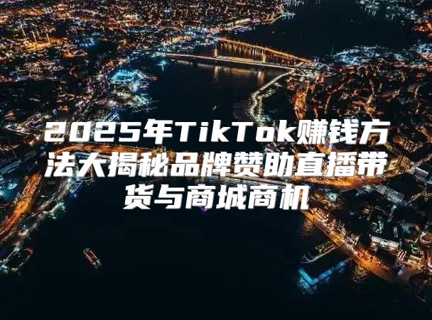 2025年TikTok赚钱方法大揭秘品牌赞助直播带货与商城商机