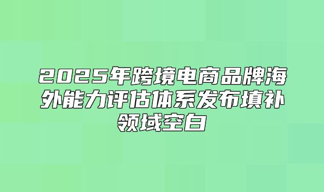 2025年跨境电商品牌海外能力评估体系发布填补领域空白