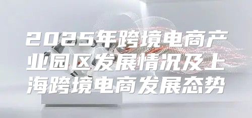 2025年跨境电商产业园区发展情况及上海跨境电商发展态势
